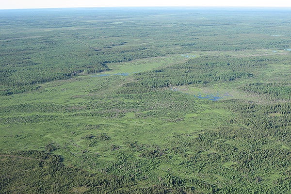 oil sands alberta