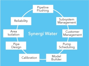 Synergi water module